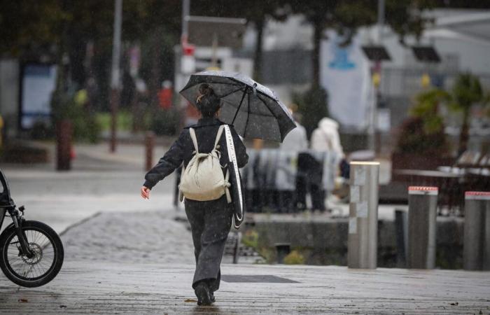 starke Böen, Regen, Schnee bis in die Ebene… Was können wir bis zum Ende der Woche erwarten?