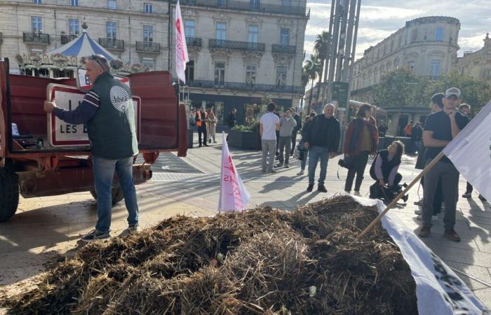 Die Landwirte im Hérault wollen mehr als nur Hilfe