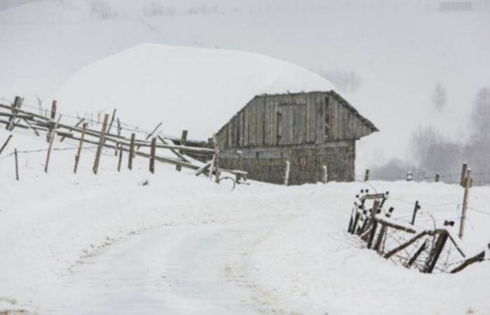 Wetter der Woche: tagesaktuelle Details zum Trubel