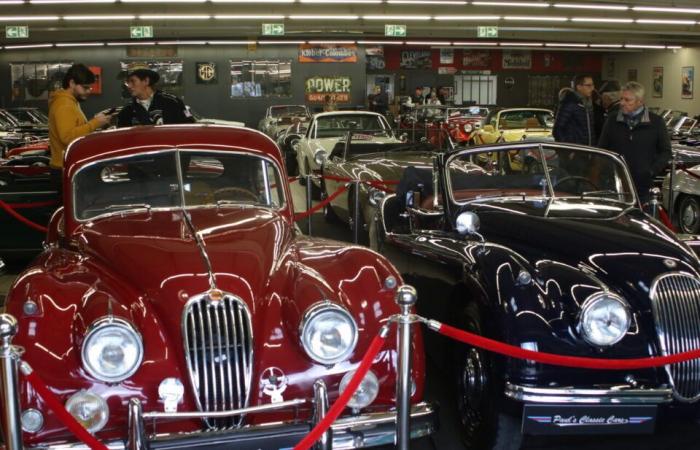 Außergewöhnlicher Besuch der Show „Turbo“ in dieser Garage in La Manche voller Oldtimer