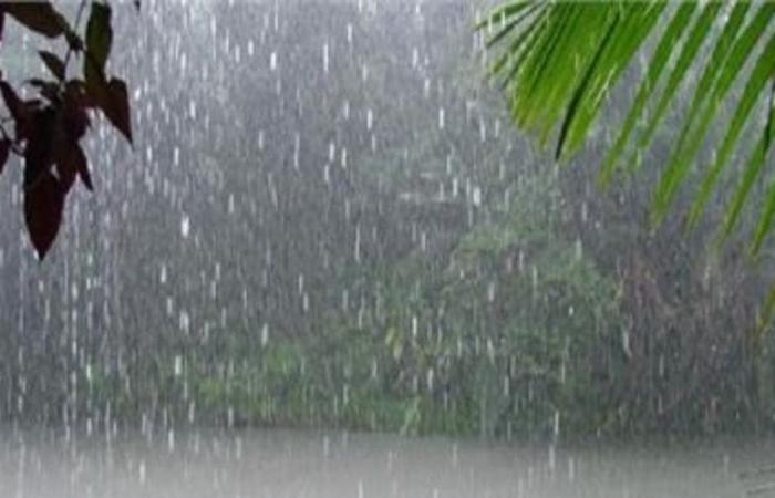 Das heutige Wetter: In mehreren Regionen werden Regenschauer erwartet