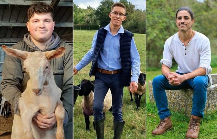 Hier sind die Gesichter und Hintergründe der drei Charente-Landwirte, die am Mister France Agricole-Wettbewerb teilnehmen