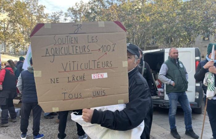 Die Landwirte im Hérault wollen mehr als nur Hilfe