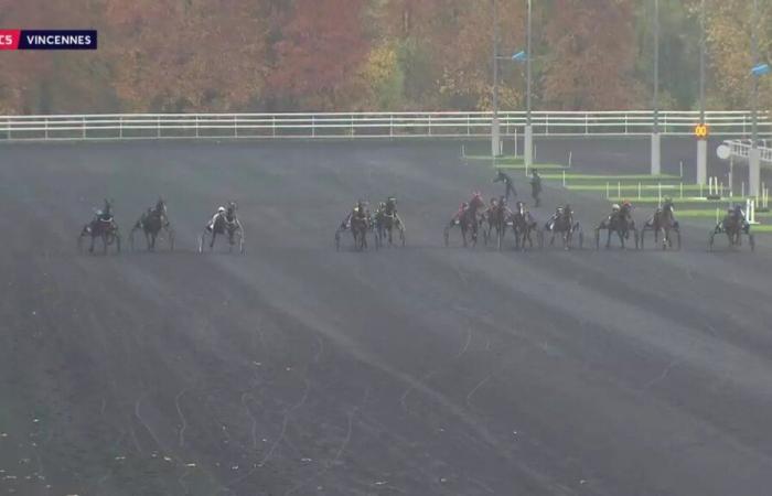 PRIX DE CASSIS – PARIS-VINCENNES – 18.11.2024: Starter, Vorhersagen und Ergebnisse in Videos – Rennen 5