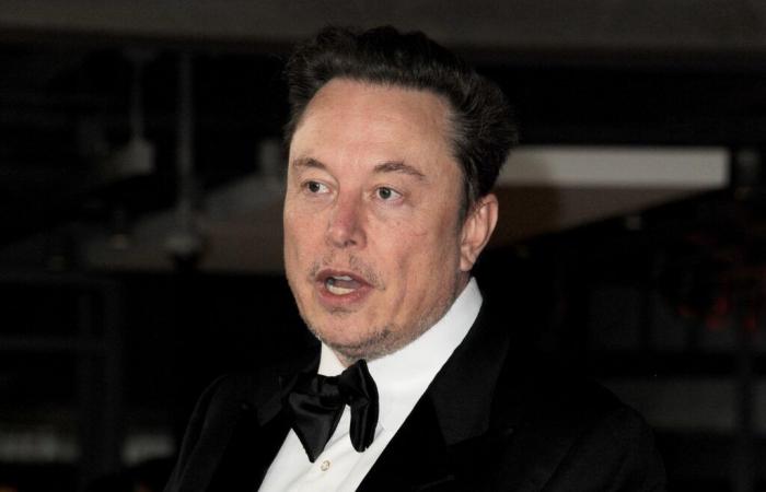 Elon Musk weitet seinen Rechtsstreit auf den Softwareriesen aus