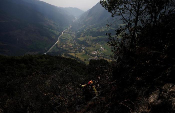 Ecuador ruft den nationalen Notstand aus, um Brände und Dürre im Süden des Landes zu bekämpfen