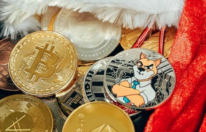 Welche Zukunft haben Memecoins mit Bitcoin zum höchsten Preis?