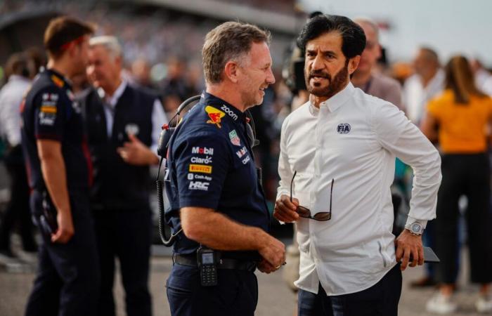 Günther Steiner meint, Mohammed Ben Sulayem „mischt sich zu sehr in die Formel 1 ein“.