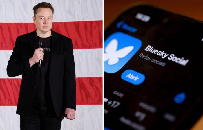 Warum verlassen die Leute Elon Musks X in Scharen und wechseln zum Rivalen Bluesky? Der große X-odus erklärt | Im Trend