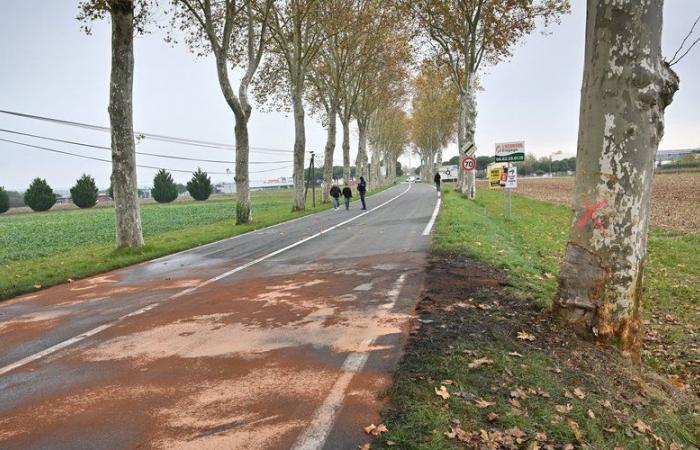 „Er hatte gerade seinen Geburtstag gefeiert“: Wer waren die fünf Opfer der Verkehrskatastrophe in Gaillac?