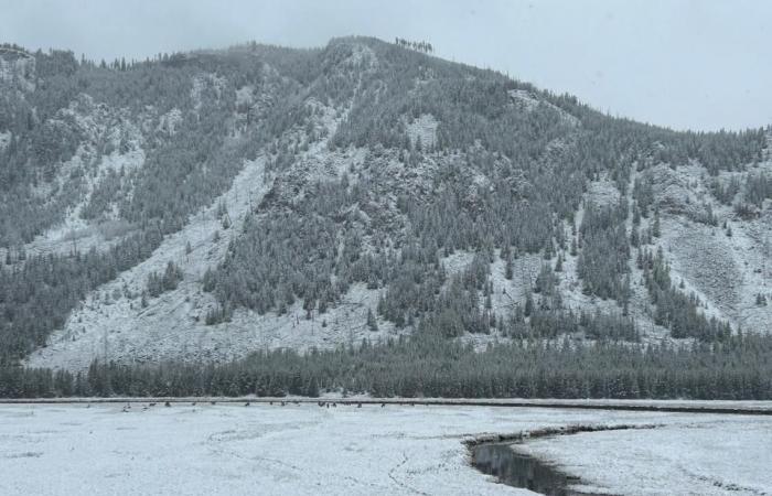 Winterwarnungen in den gesamten Vereinigten Staaten, wo an diesem Wochenende Schnee zu sehen sein könnte