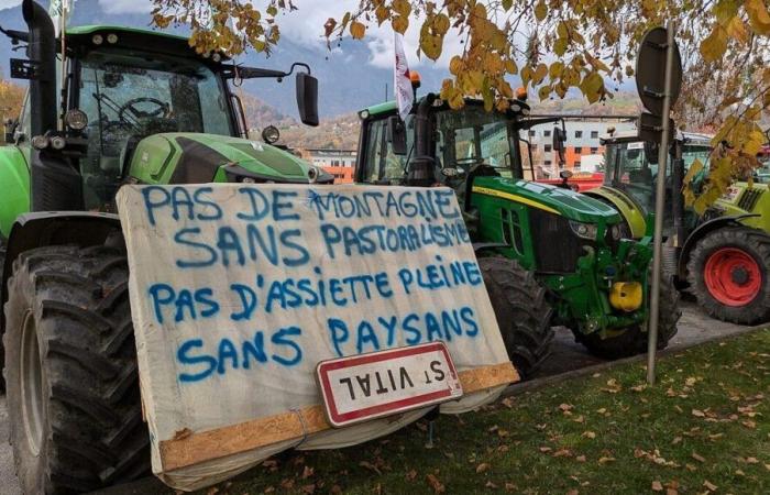 Agrarkrise: Planen und ein erstes Treffen der Landwirte in Savoie und Haute-Savoie an diesem Montag