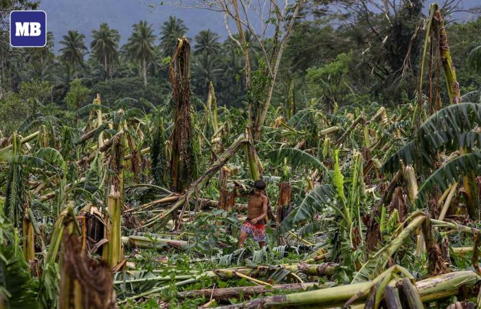 Winteroffensive in Europa, Überschwemmungen in Honduras, aufeinanderfolgende Taifune auf den Philippinen, … Wetternachrichten aus aller Welt 18.11.2024