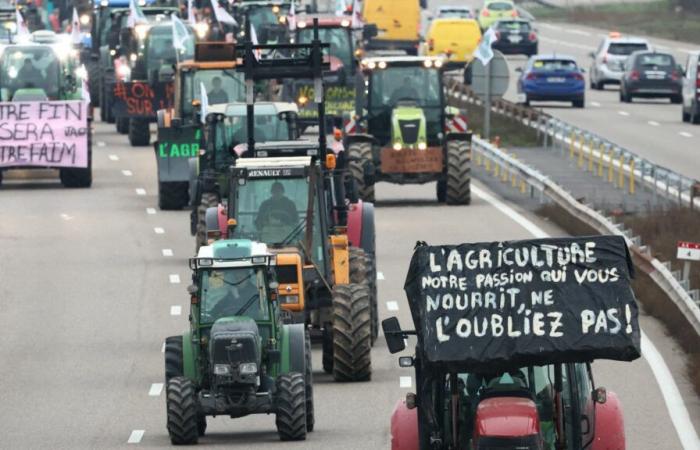 Die Mobilisierung wird mit neuen Aktionen fortgesetzt