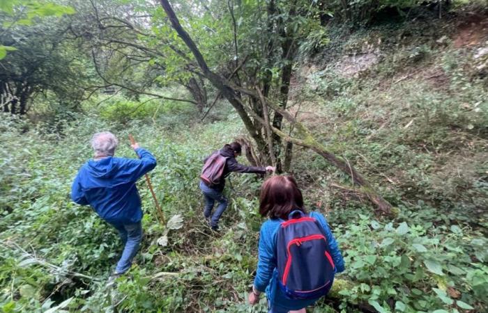 In Saint-Hilaire-sur-Helpe wurde ein seit mehreren Wochen toter Mann entdeckt