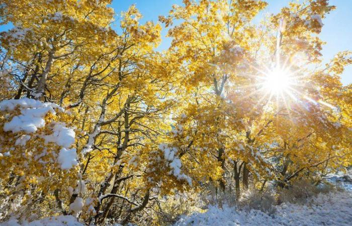 Der Winter kehrt zurück: drastischer Temperaturabfall, erste Schneeflocken?… Was erwartet Sie diese Woche in Okzitanien?