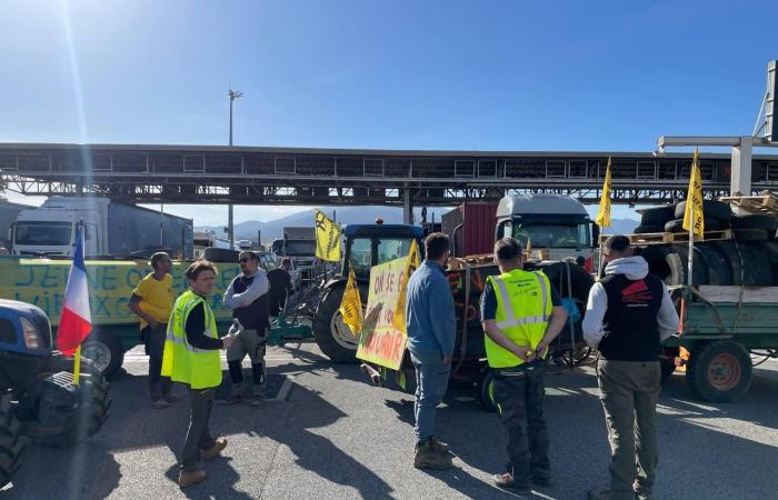 [EN DIRECT] Die französisch-spanische Grenze wird von Bauern blockiert