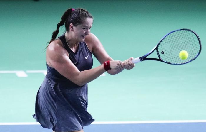 Billie Jean King Cup | Die Slowakei trifft im Finale auf Italien