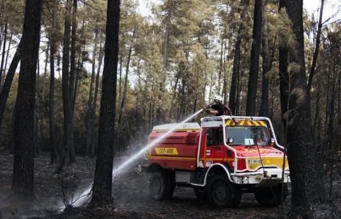 Einem Bericht der Kommission zufolge gehört das Jahr 2023 zu den fünf Jahren, die in Europa am stärksten von Waldbränden betroffen sind