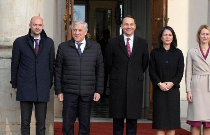 Frankreich und fünf weitere europäische Länder befürworten gemeinsame Verteidigungsverpflichtungen