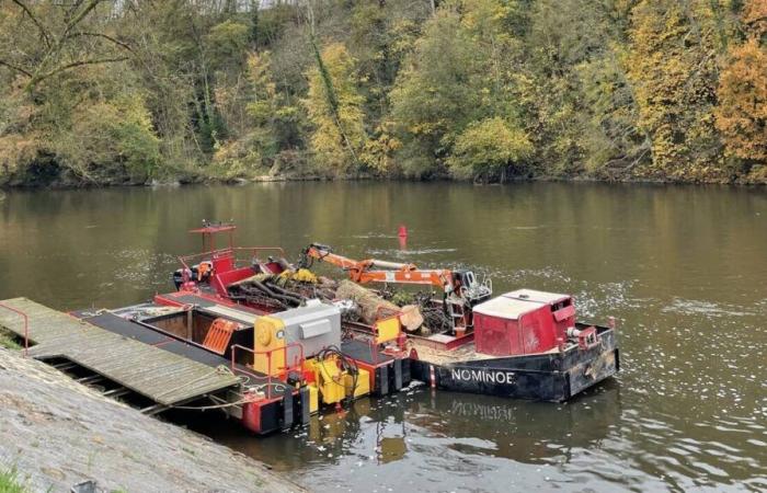 Warum transportiert ein Boot Baumstücke nach Mayenne?