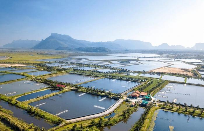 Welche Auswirkungen hat eine nachhaltige Aquakultur auf die Umwelt?