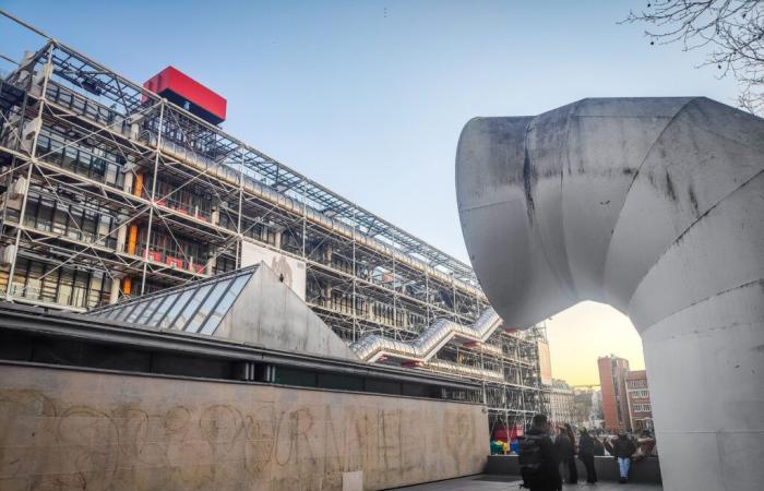 Nature Manifesto: ein immersives Klangerlebnis von Björk & Aleph im Centre Pompidou