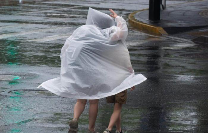 Regen, Überschwemmungen, Wind und Überschwemmungen, 37 Abteilungen sind an diesem Dienstag in Alarmbereitschaft