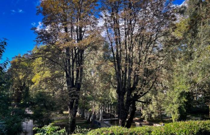 Starke Winde in Paris: Schließung von Parks, Gärten und Friedhöfen an diesem Dienstag