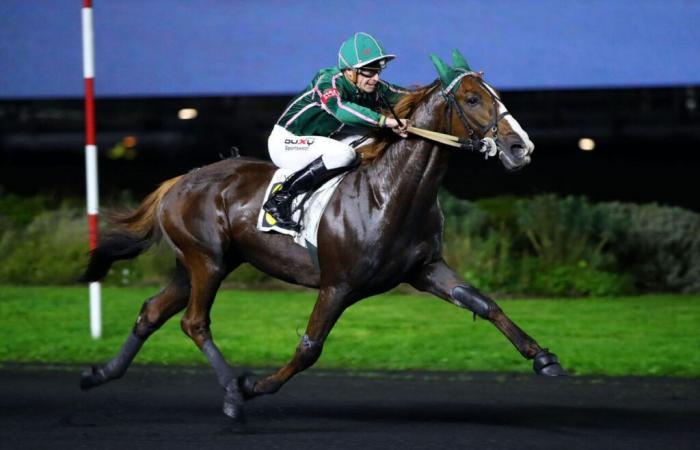 Samstag in Vincennes – Prix Joseph Lafosse (G.II): Jéroboam d’Erable