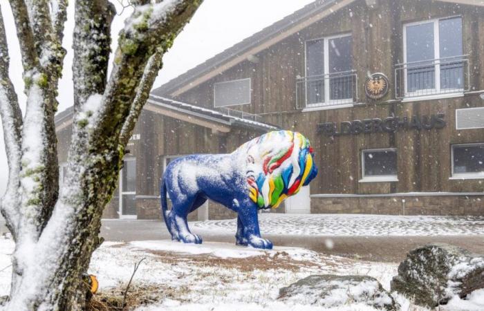 Hessen: Winterliches Wetter in Hessen: Nach Sturm und Regen kommt der Schnee