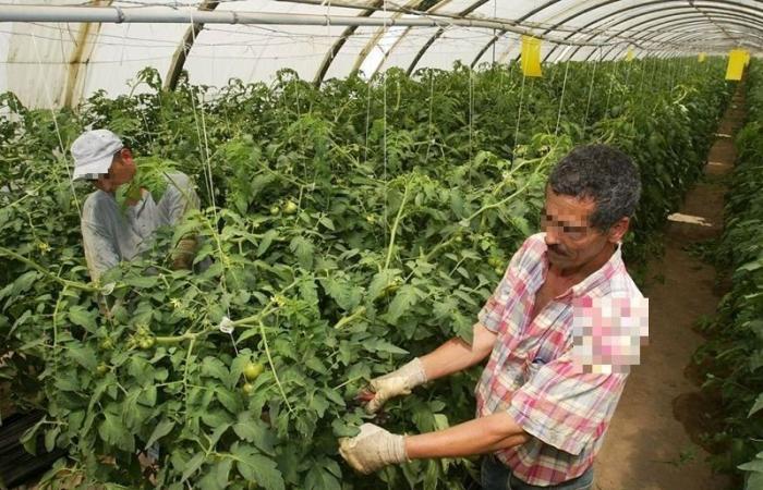 Die Umsätze gehen zurück, die Landwirte sind am Ende des Tunnels