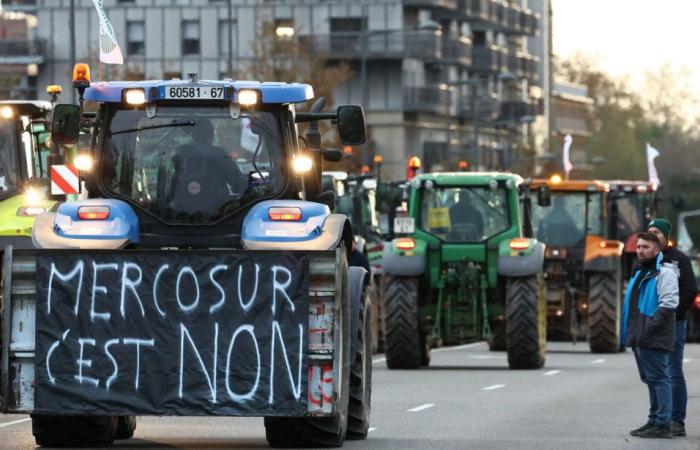 Italien, Polen … wer könnte Frankreich in seinem Widerstand gegen das Abkommen folgen?