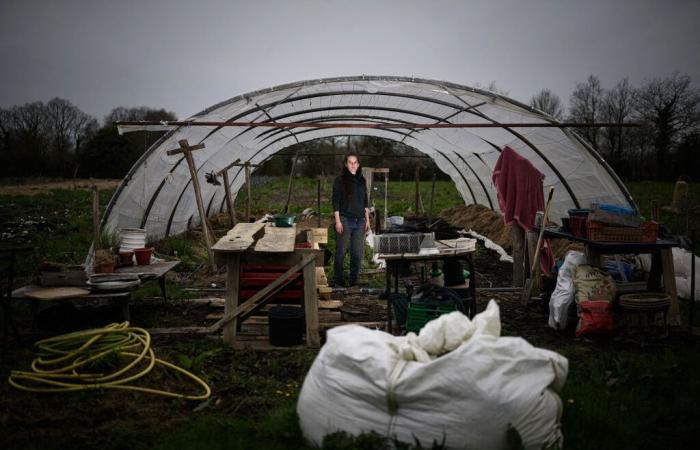 Kino: der Dokumentarfilm Direct Action von Guillaume Cailleau und Ben Russell über das ZAD von Notre-Dame-des-Landes