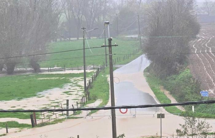 Abfluss von den Feldern, betroffene Häuser: Überschwemmungen überraschen die Brainois-Dörfer (FOTOS)