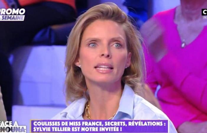 Sylvie Tellier macht in „TPMP“ Enthüllungen über die ehemalige Miss France