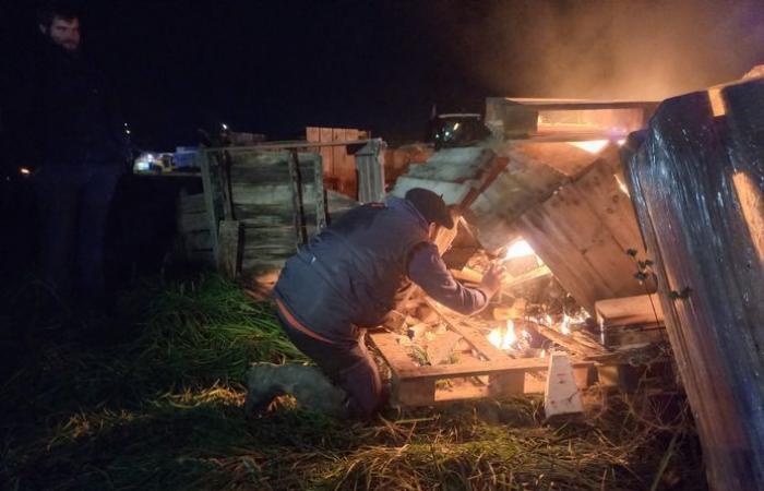 Zorn der Bauern: Das Mercosur-Ratifizierungsprojekt setzt Montauban in Brand