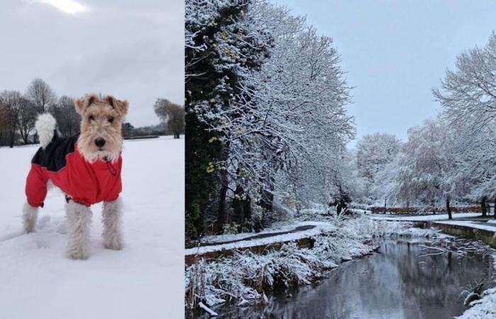 In Bildern: Die besten Fotos der Zuschauer, während der Schnee die Midlands erreicht