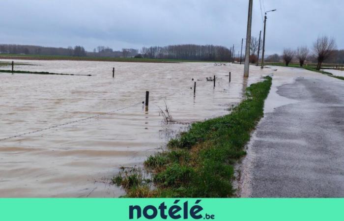 Die Picardie Wallonien ist mit neuen Überschwemmungen konfrontiert