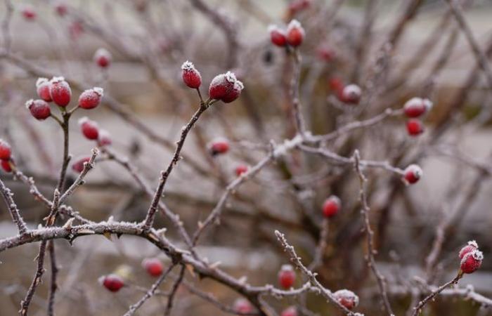 Teile des Vereinigten Königreichs bereiteten sich nach der kältesten Nacht der Saison auf „störenden Schnee“ vor | Britische Nachrichten