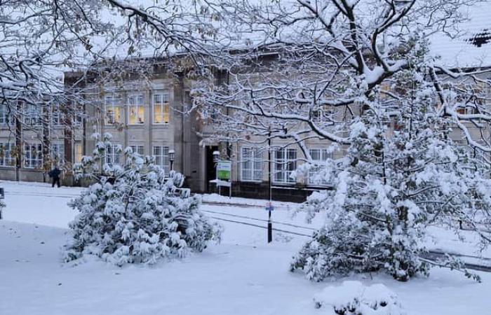 Hier sind Updates, die Sie brauchen, und alle Ihre Bilder vom plötzlichen Schneetag in Sheffield