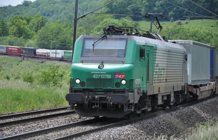 Die Privatisierung des Güterverkehrs beunruhigt die Gewerkschaften