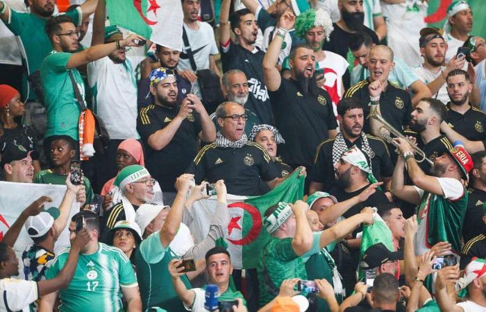 Algerien und Marokko werden angegriffen, Nabil Djellit reagiert kalt