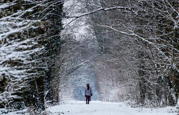 Rückkehr der Kälte, des Schnees… Wo werden die ersten Flocken fallen?