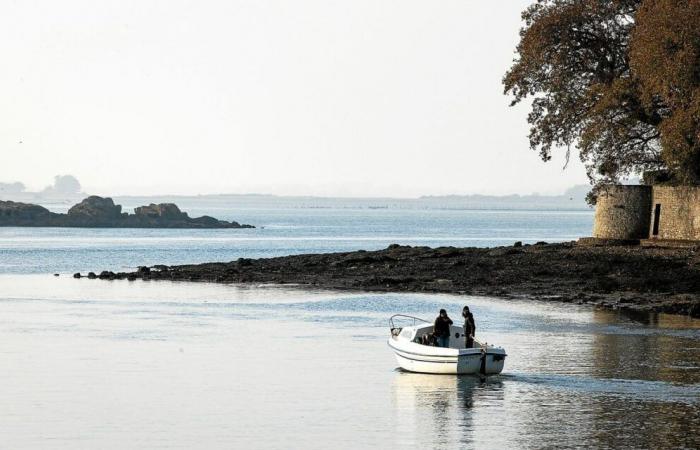 Denken Sie an die Zukunft, die neue Herausforderung des Naturparks Golf von Morbihan [Édito]