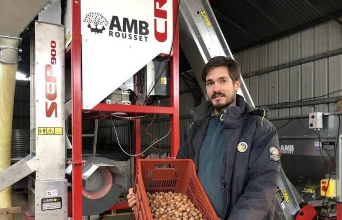 Simon Aussems produziert die einzigen Bio-Haselnüsse in Mayenne