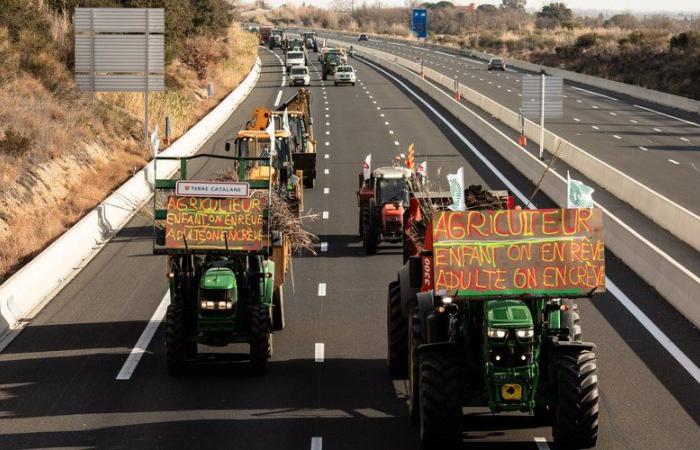 DIREKT. Wütende Bauern: Macron ist gegen das Mercosur-Abkommen „in seiner jetzigen Form“, schwierige Verkehrsbedingungen auf der A9, verfolgen Sie den Tag der Mobilisierung auf lindependant.fr