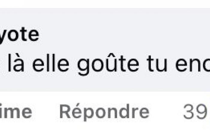 Der Preis des Vachon-Ferienholzes hat bei den Einwohnern Quebecs heftige Reaktionen hervorgerufen