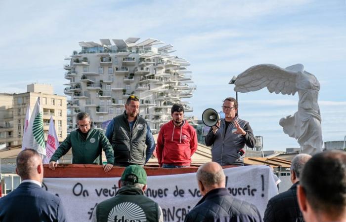 Agrarzorn: In Okzitanien entschieden sich Demonstranten für eine erste Warnung