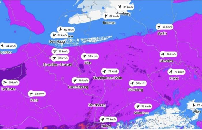 Unwetter-Warnung vom DWD: Karte zeigt, wo es heute am stärksten stürmt